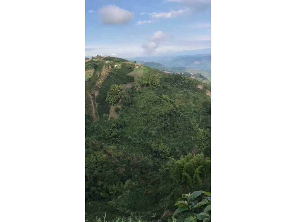 FINCA EN VENTA VEREDA BAJO TABLAZO | MANIZALES — foto 3