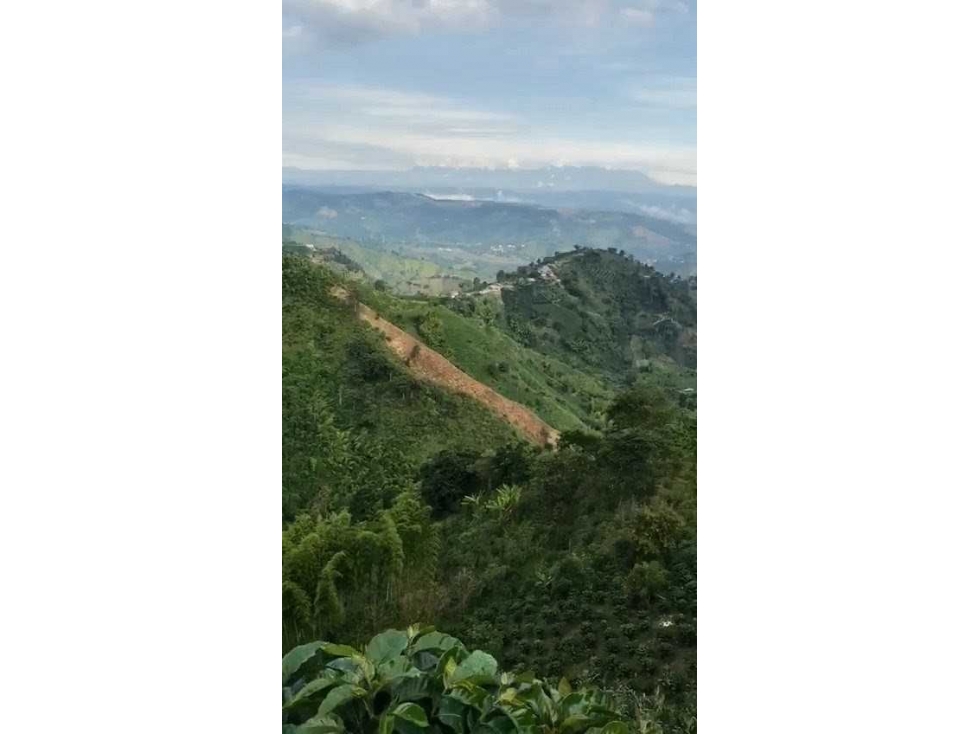 FINCA EN VENTA VEREDA BAJO TABLAZO | MANIZALES — foto 5