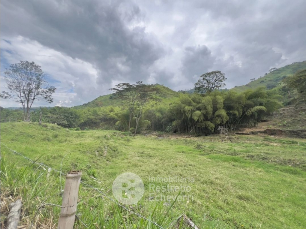 Finca en venta, vereda Caselata, Manizales — foto 3