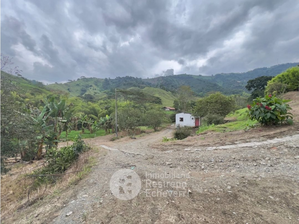 Finca en venta, vereda Caselata, Manizales — foto 4
