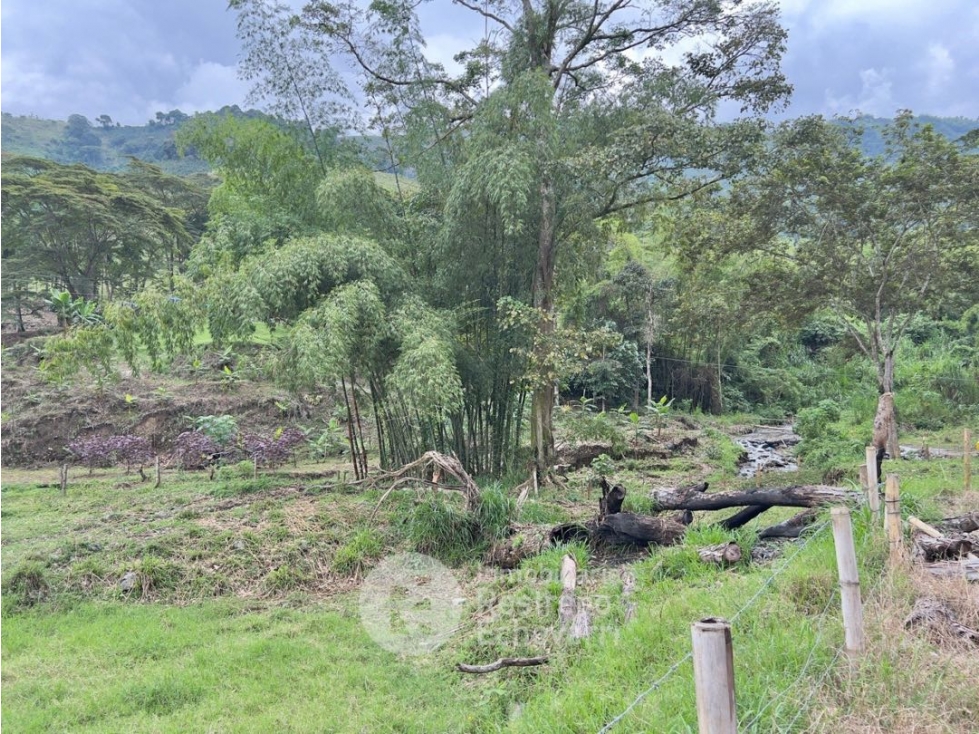 Finca en venta, vereda Caselata, Manizales — foto 5