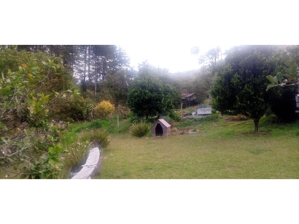 FINCA EN VENTA VEREDA CIMARRONAS — foto 3