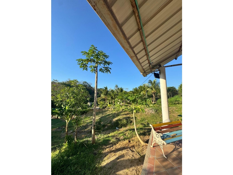 Finca en venta - Via a minca, Sector Tigrera,Magdalena — foto 4