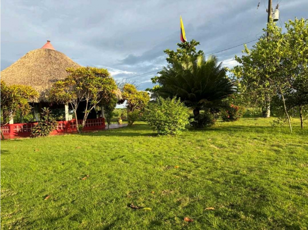 FINCA EN VENTA O ARRIENDO VIA MONTERIA TIERRALTA