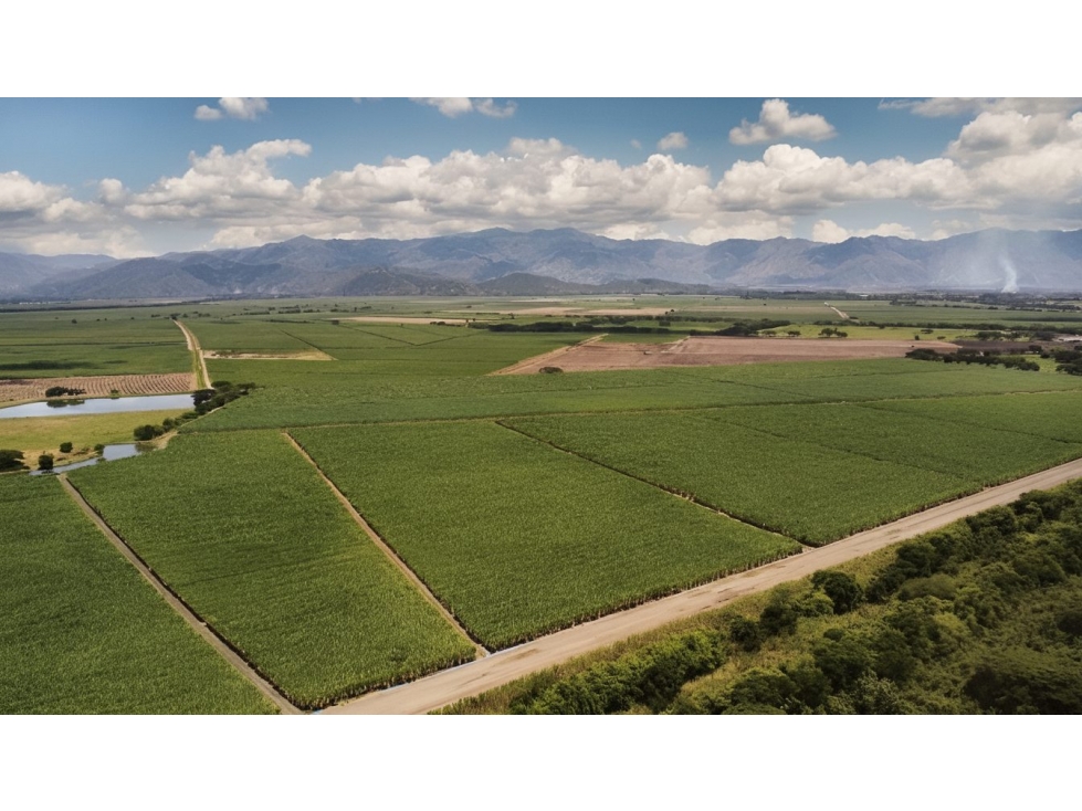 Finca en venta - Zarzal