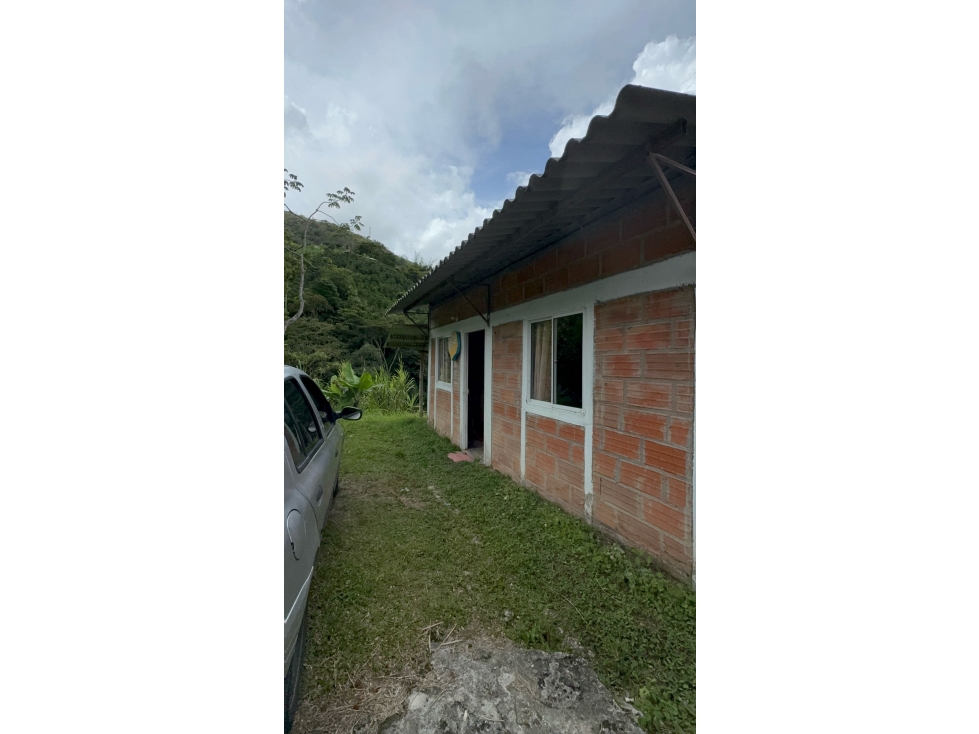 FINCA EN VENTA ENTRE GRANADA Y SAN CARLOS | 7 HECTÁREAS, AGUA PROPIA - 1