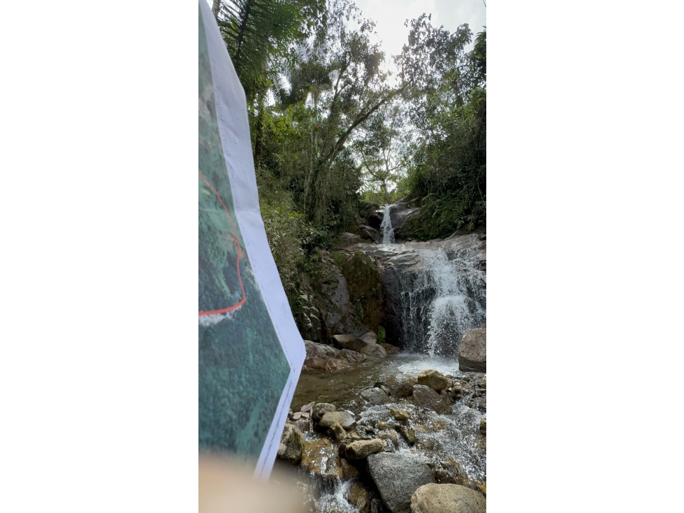 FINCA EN VENTA ENTRE GRANADA Y SAN CARLOS | 7 HECTÁREAS, AGUA PROPIA - 2