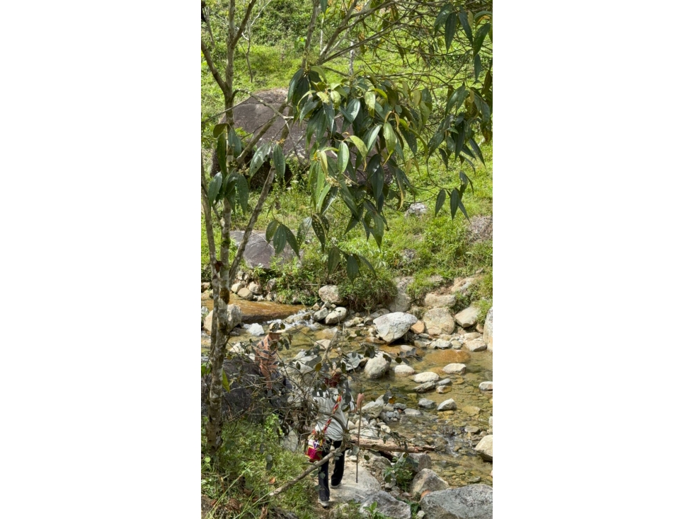 FINCA EN VENTA ENTRE GRANADA Y SAN CARLOS | 7 HECTÁREAS, AGUA PROPIA - 3