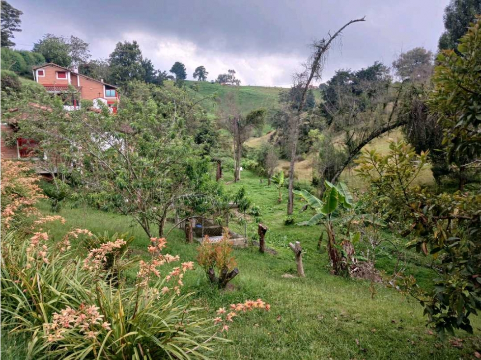 Finca entre San Félix y San Pedro en venta