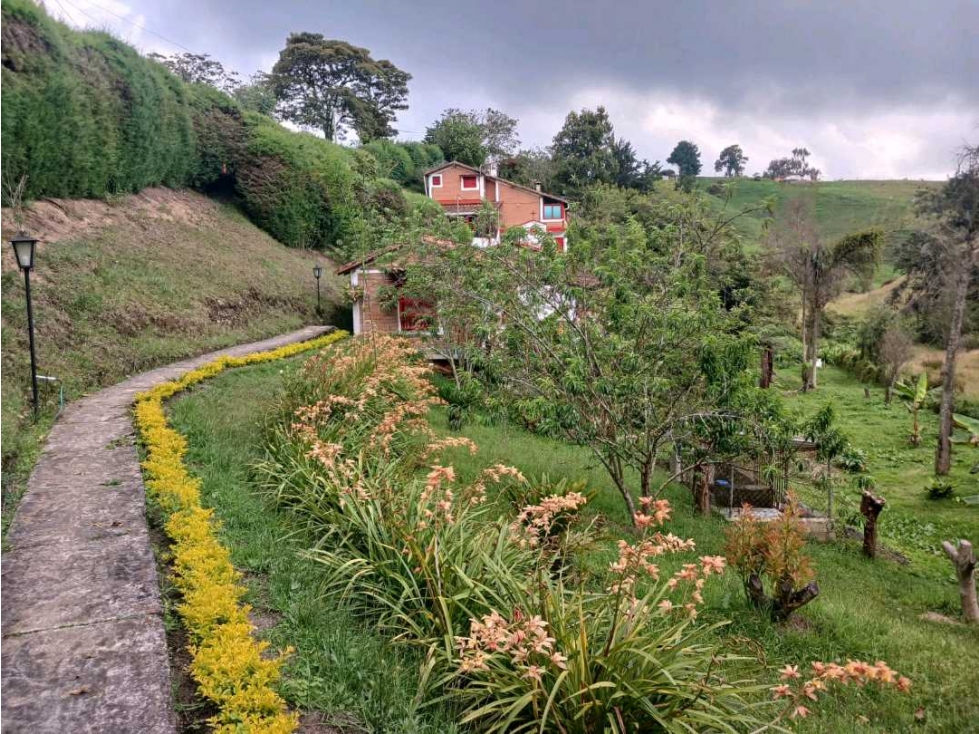 Finca entre San Félix y San Pedro en venta — foto 2