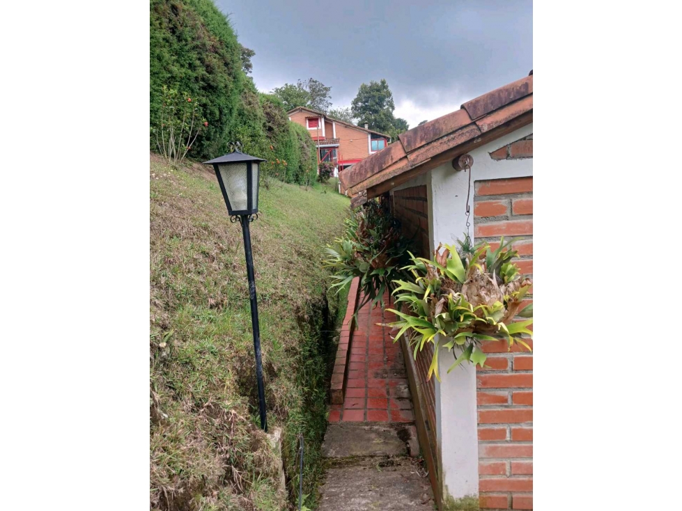 Finca entre San Félix y San Pedro en venta — foto 4