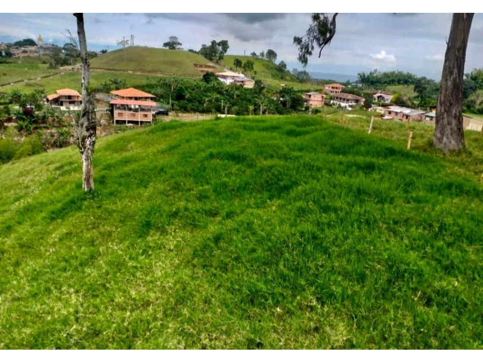 Finca Ganadera en Venta en Corregimiento Arabia, Pereira — foto 4