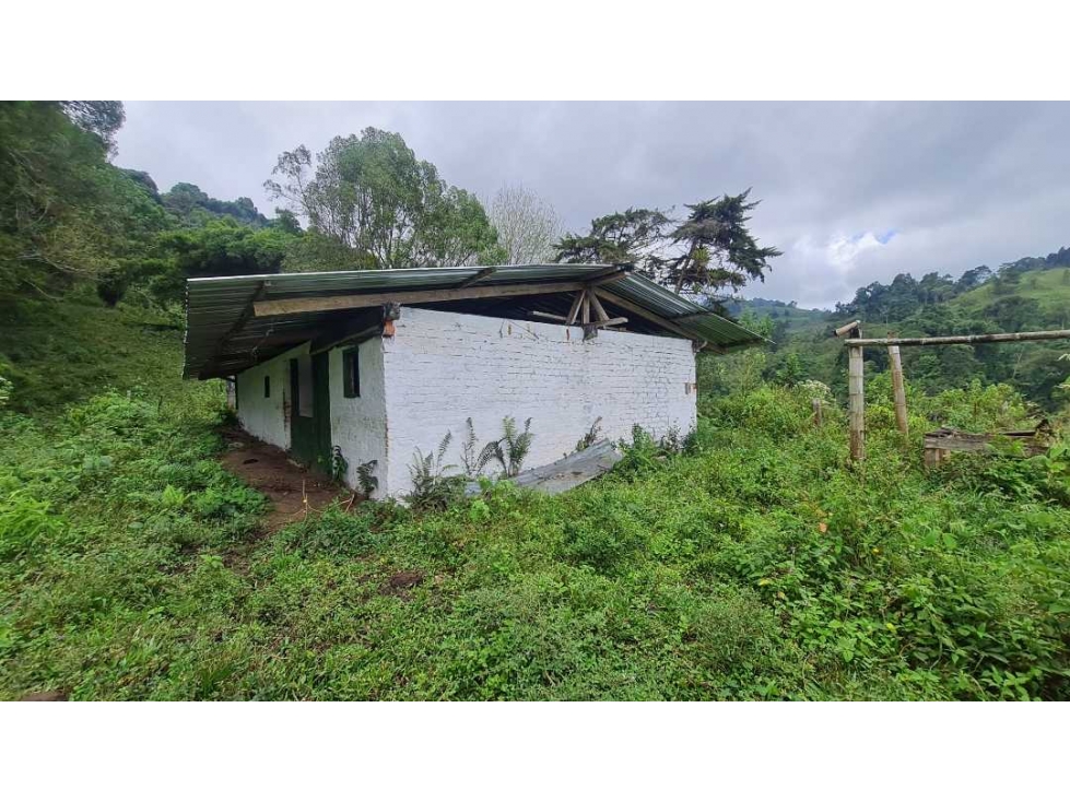 Finca ganadera en Buga, La Magdalena, Vereda El Janeiro - 4
