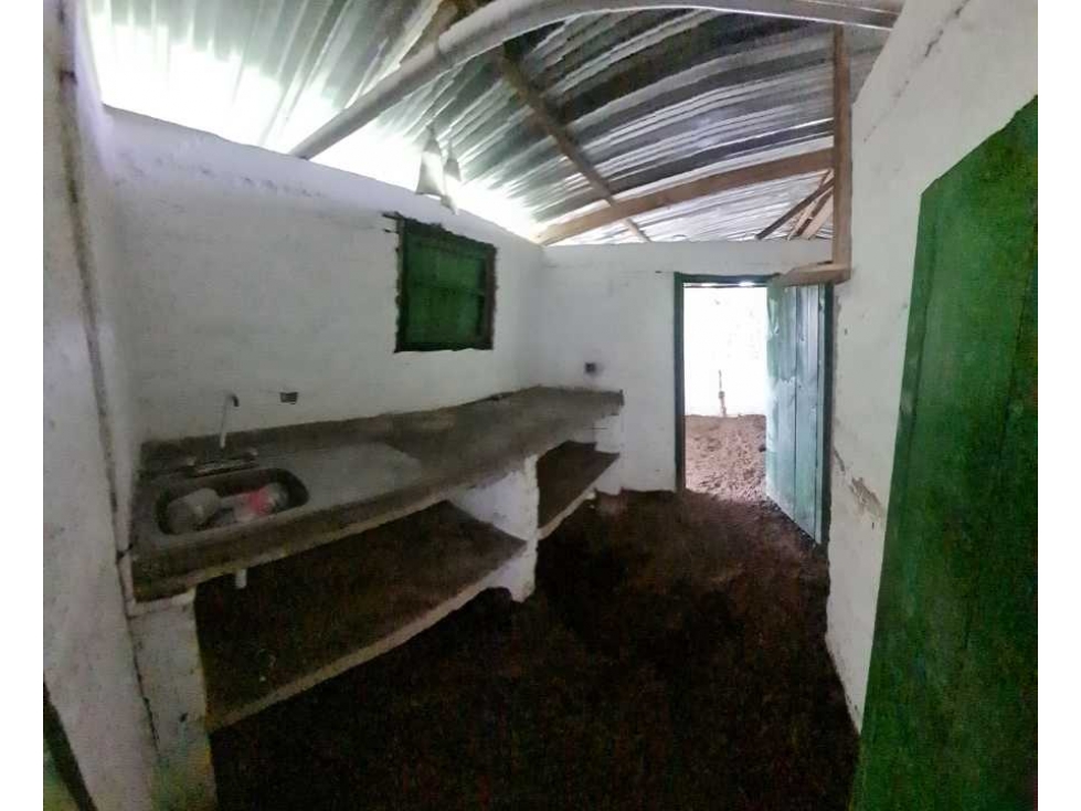 Finca ganadera en Buga, La Magdalena, Vereda El Janeiro - 5
