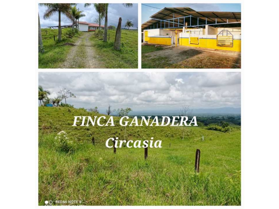 FINCA GANADERA EN CIRCACIA - 1