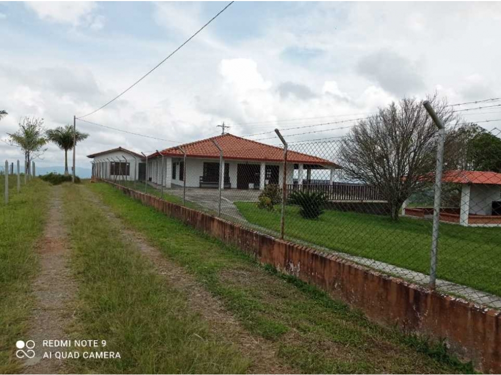 FINCA GANADERA EN CIRCACIA - 3