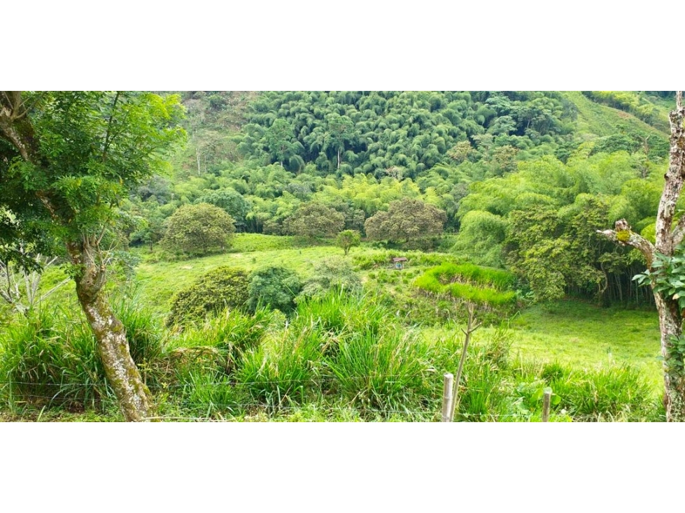 Finca Ganadera en Venta en Marsella, Risaralda - 47 Cuadras