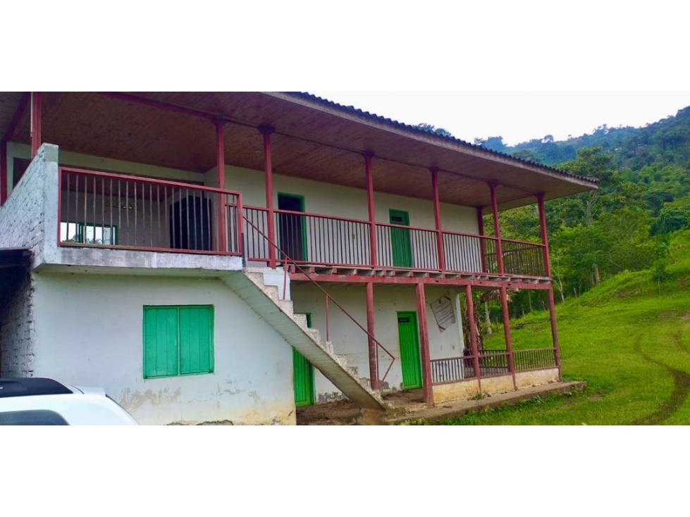 Finca Ganadera en Venta en Marsella, Risaralda - 47 Cuadras — foto 2