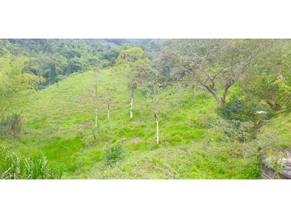 Finca Ganadera en Venta en Marsella, Risaralda - 47 Cuadras — foto 3