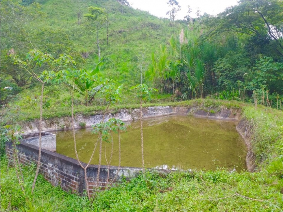 Finca Ganadera en Venta en Marsella, Risaralda - 47 Cuadras — foto 4
