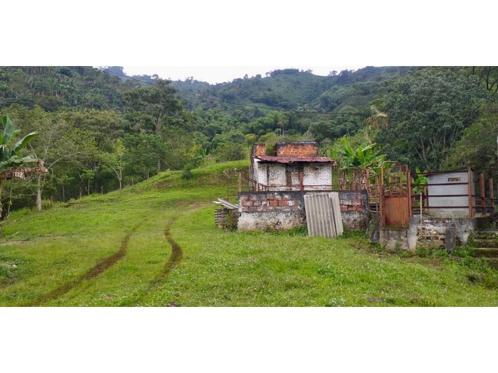 Finca Ganadera en Venta en Marsella, Risaralda - 47 Cuadras — foto 6