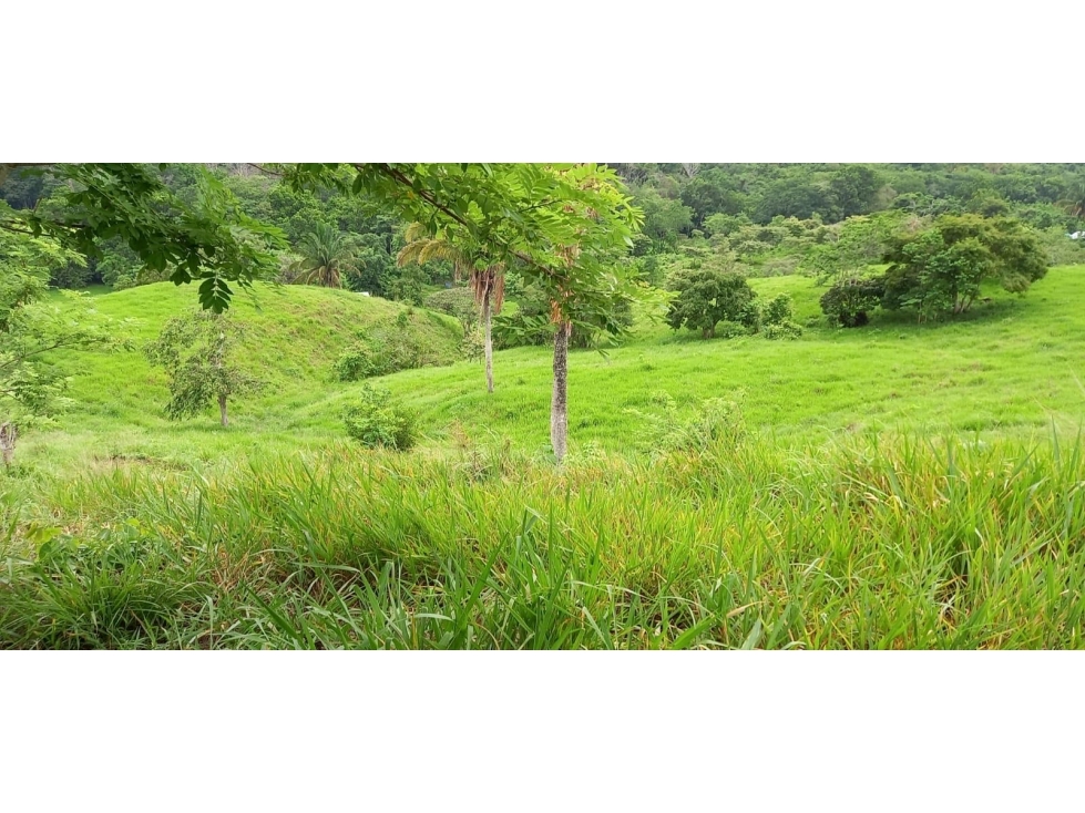 AMPLIA FINCA DE 560,000 M² DE TERRENO (56 HECTÁREAS) CP - 3