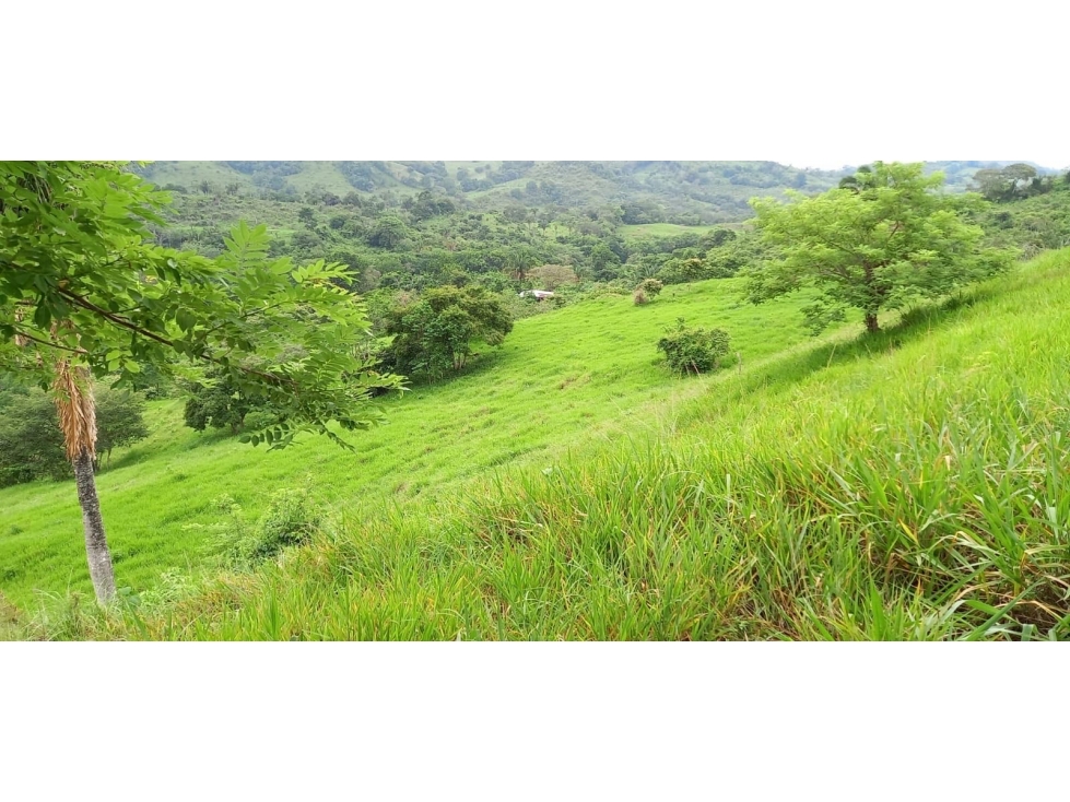 AMPLIA FINCA DE 560,000 M² DE TERRENO (56 HECTÁREAS) CP - 4