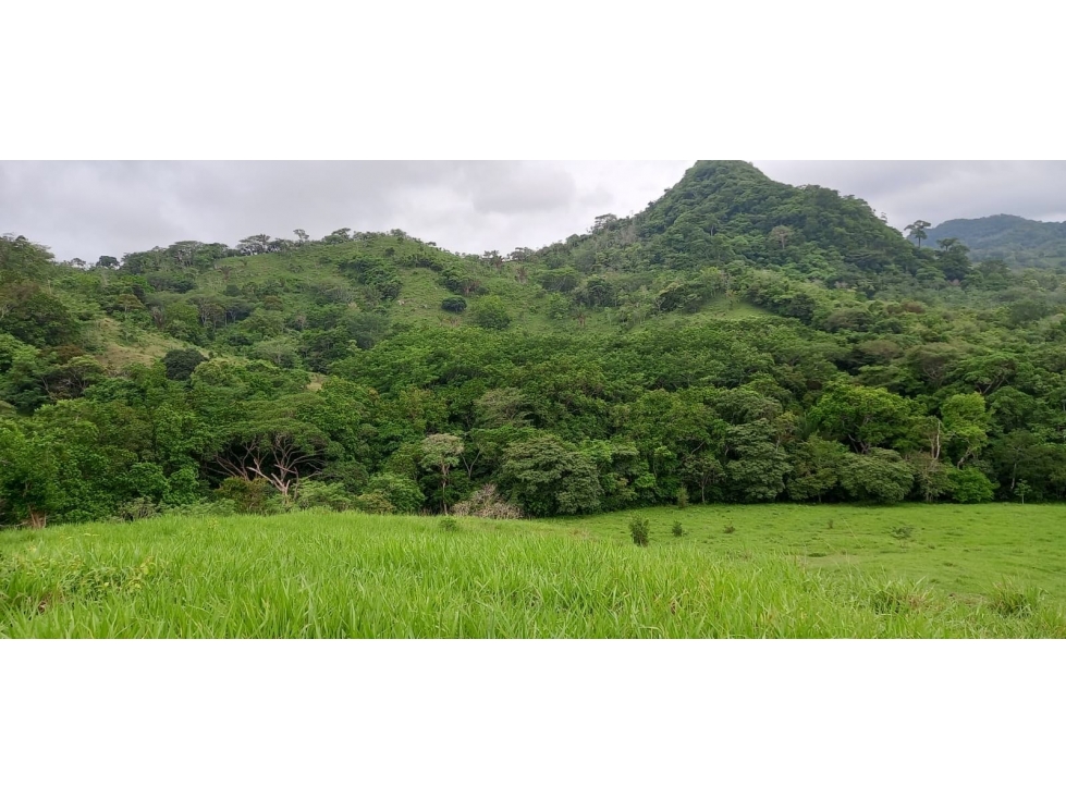 AMPLIA FINCA DE 560,000 M² DE TERRENO (56 HECTÁREAS) CP - 6