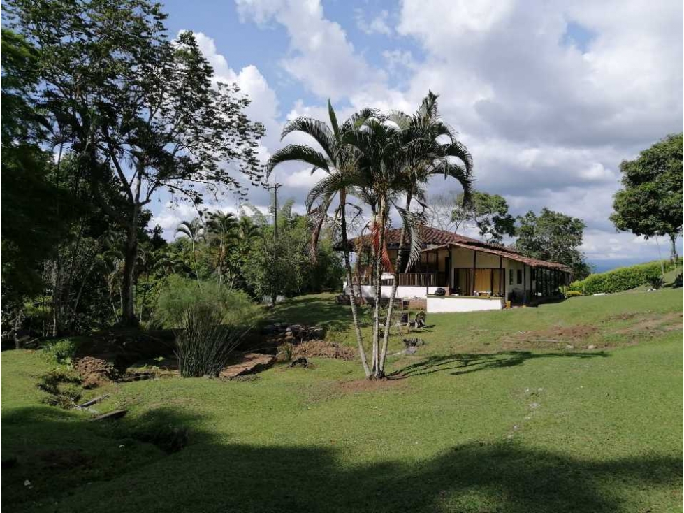 Finca ganadera para la venta 18 km de Pueblo tapao excelentes aguas - 1