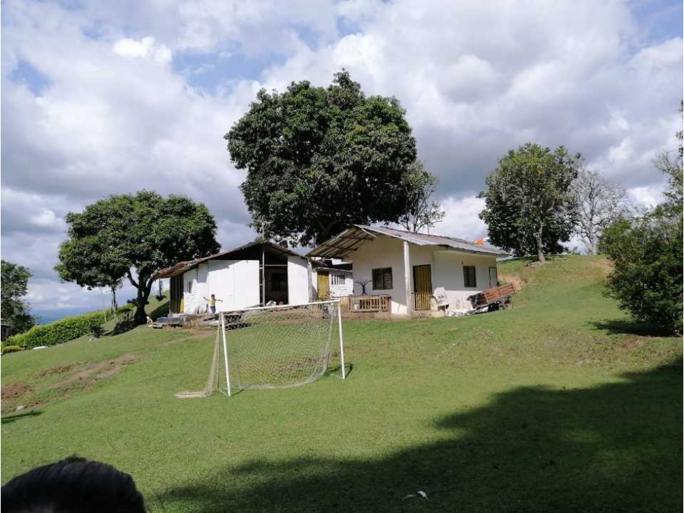 Finca ganadera para la venta 18 km de Pueblo tapao excelentes aguas - 2