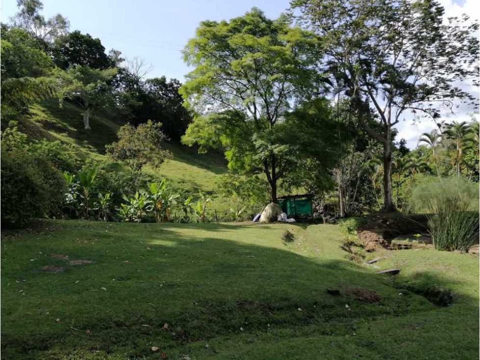 Finca ganadera para la venta 18 km de Pueblo tapao excelentes aguas - 3