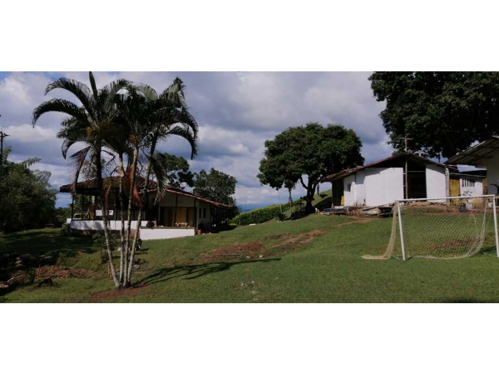 Finca ganadera para la venta 18 km de Pueblo tapao excelentes aguas - 4