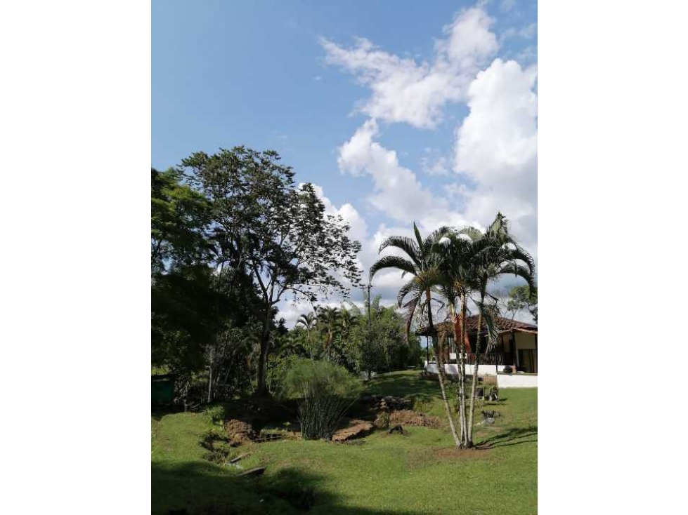 Finca ganadera para la venta 18 km de Pueblo tapao excelentes aguas - 5