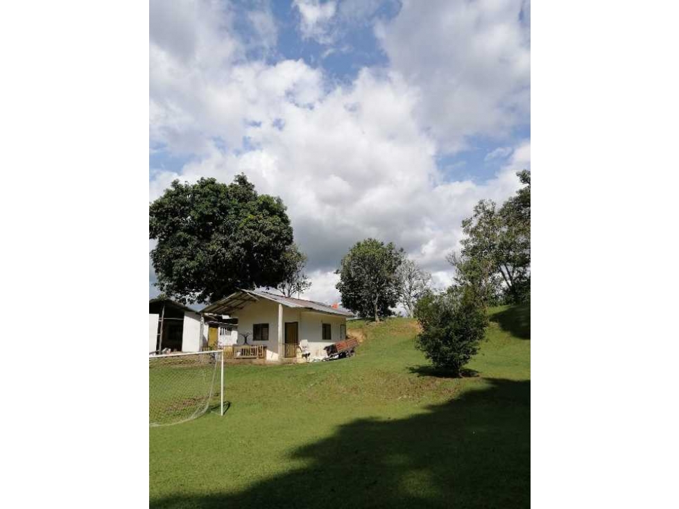 Finca ganadera para la venta 18 km de Pueblo tapao excelentes aguas - 6