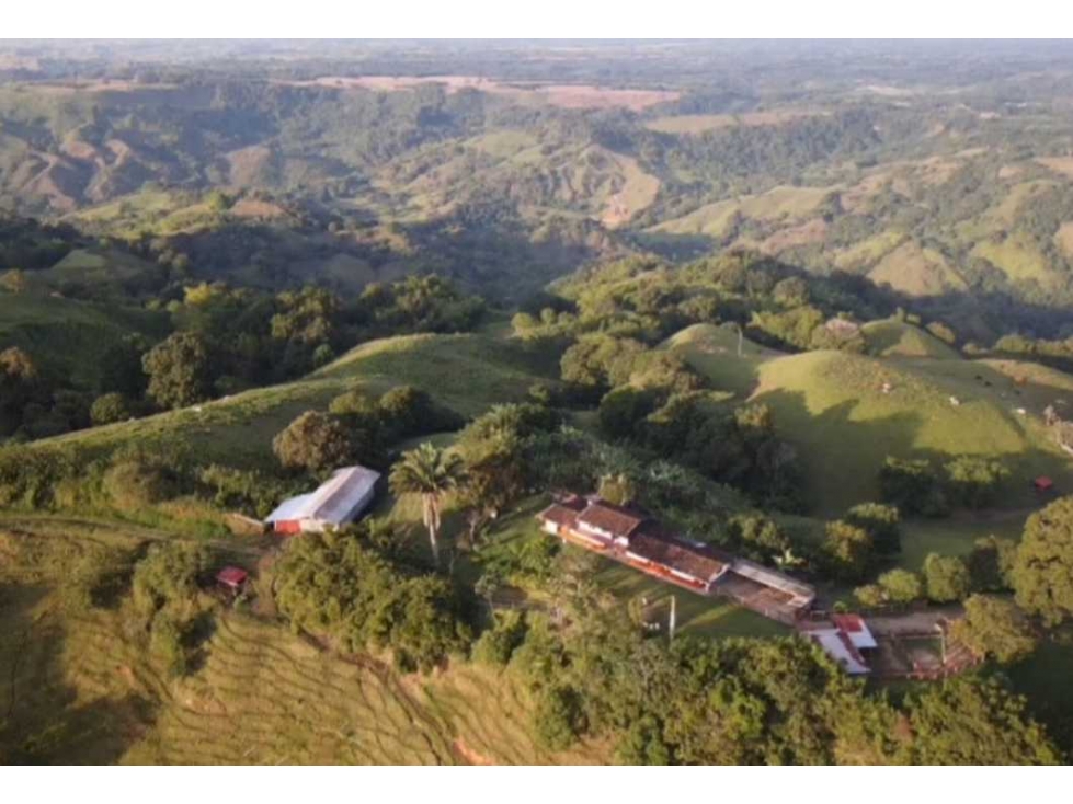 Finca ganadera para la venta de 480 cuadras excelentes aguas - 1