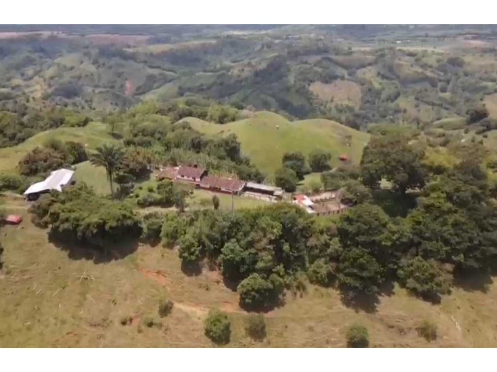 Finca ganadera para la venta de 480 cuadras excelentes aguas - 3