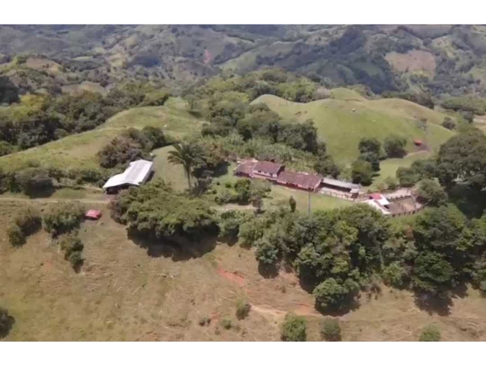 Finca ganadera para la venta de 480 cuadras excelentes aguas - 4