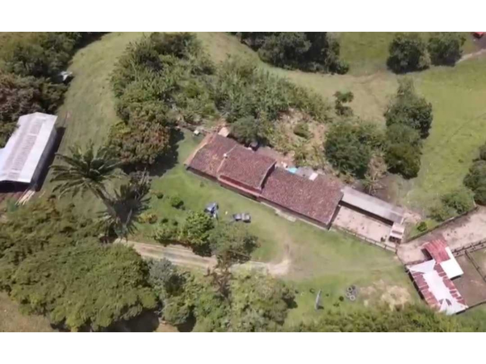 Finca ganadera para la venta de 480 cuadras excelentes aguas - 5