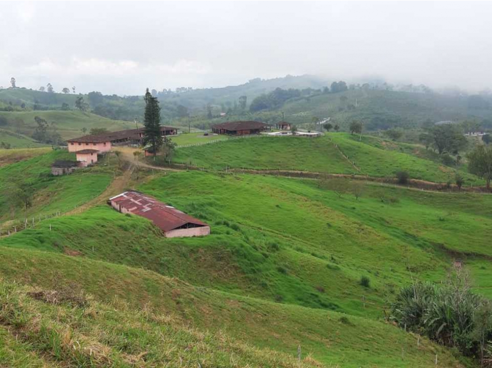 Finca ganadera para la venta en Sevilla Valle con buenas instalaciones - 1