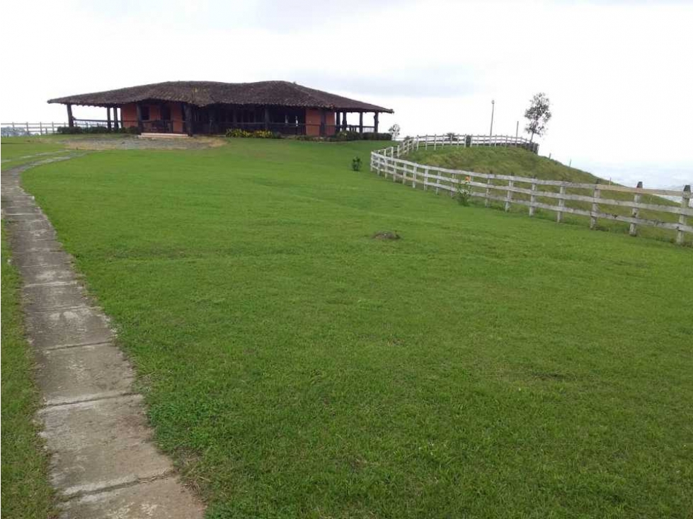 Finca ganadera para la venta en Sevilla Valle con buenas instalaciones - 2