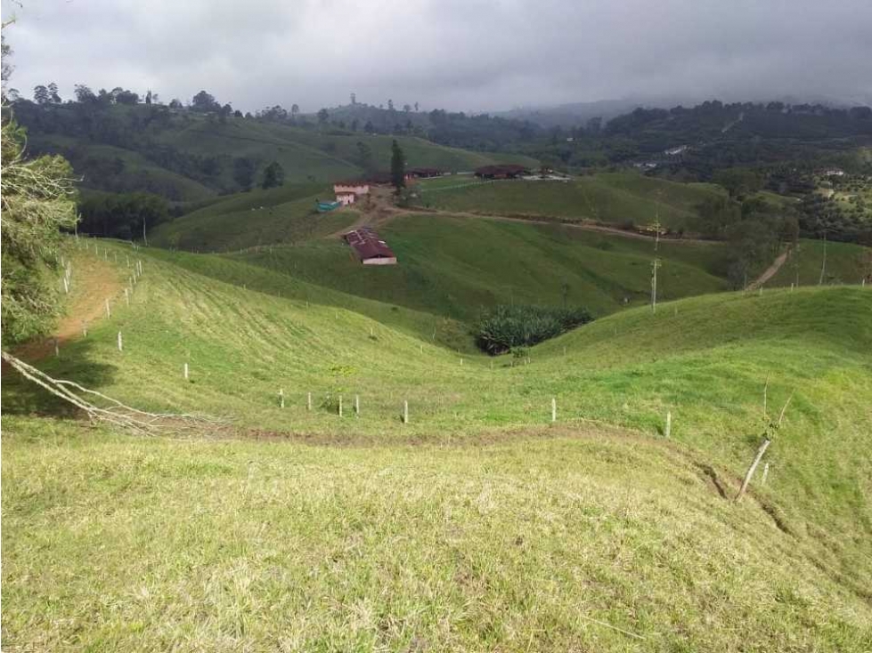 Finca ganadera para la venta en Sevilla Valle con buenas instalaciones - 4