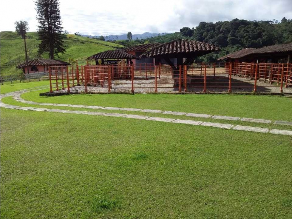 Finca ganadera para la venta en Sevilla Valle con buenas instalaciones - 5
