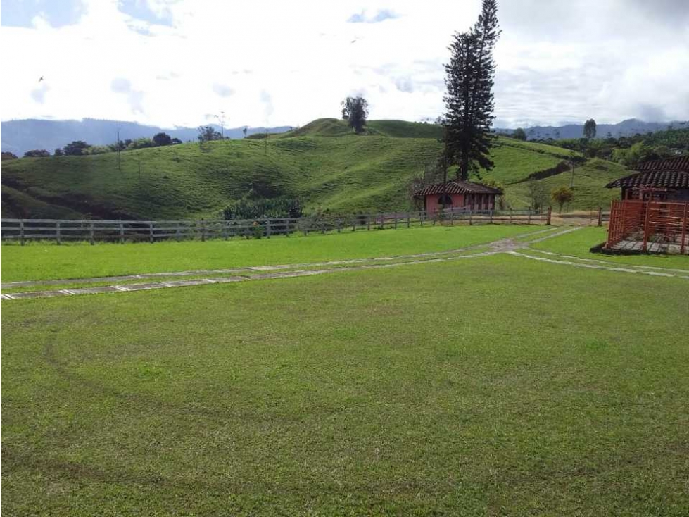 Finca ganadera para la venta en Sevilla Valle con buenas instalaciones - 6