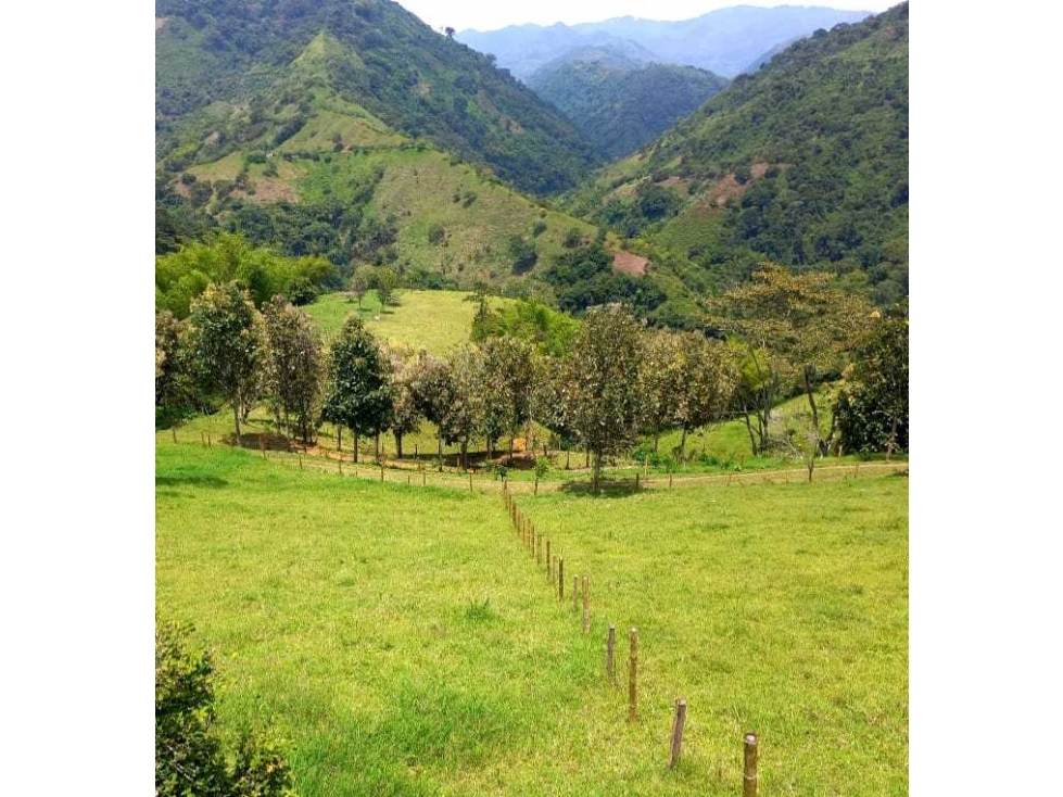 Finca Ganadera Para la Venta via a Genova - 1