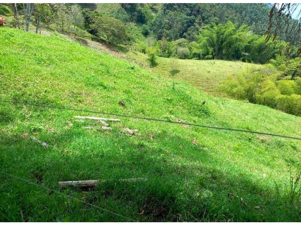 Finca Ganadera Para la Venta via a Genova - 2