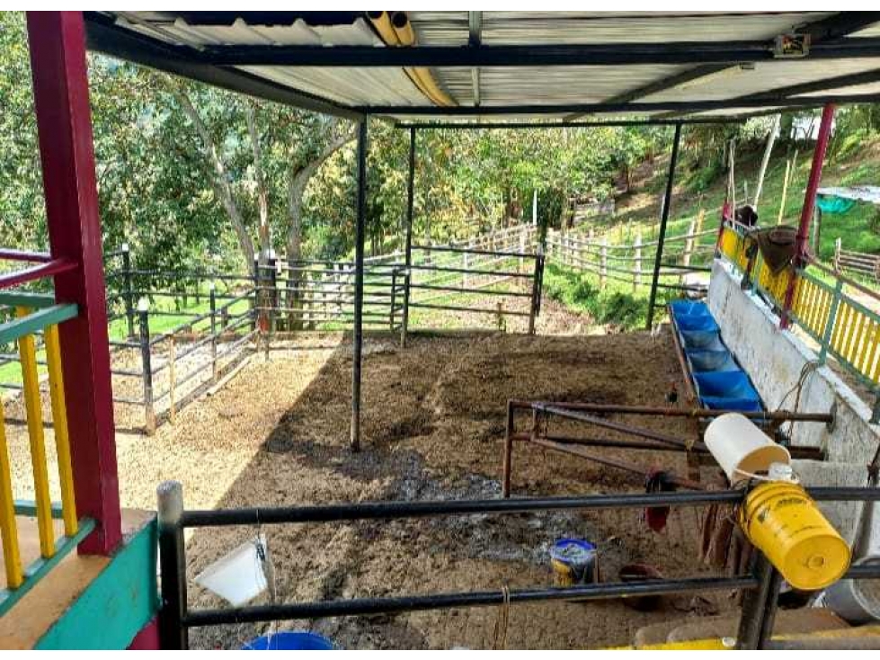 Finca Ganadera Para la Venta via a Genova - 5