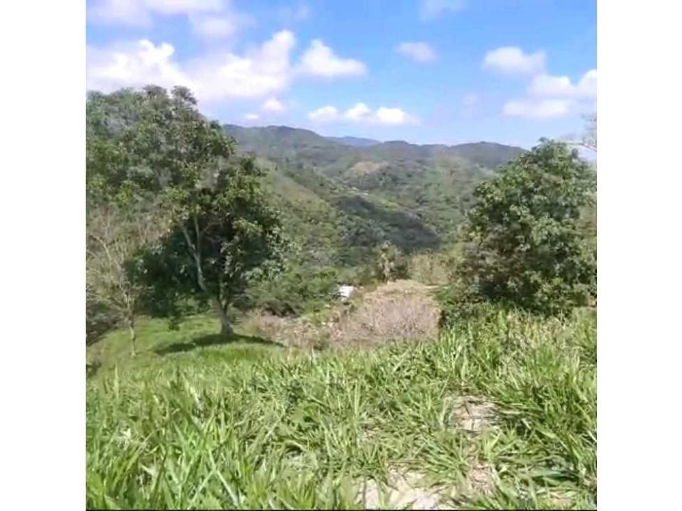 Finca Ganadera Por La Vereda Los Limones Bonda Santa Marta Colombia