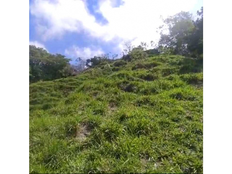 Finca Ganadera Por La Vereda Los Limones Bonda Santa Marta Colombia — foto 2