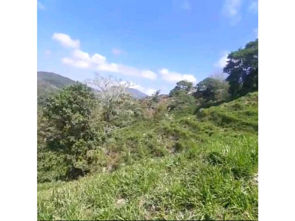 Finca Ganadera Por La Vereda Los Limones Bonda Santa Marta Colombia — foto 3