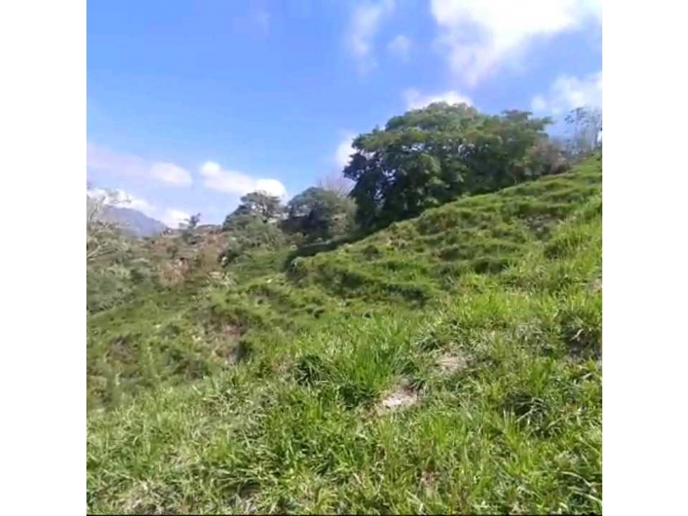 Finca Ganadera Por La Vereda Los Limones Bonda Santa Marta Colombia — foto 4